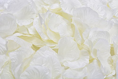 š̤ۡѡ̤ʡ(1000, Ivory) - Magik 1000 5000 Pcs Silk Flower Rose Petals Wedding Party Pasty Table Decorations, Various Choices (1000, Ivory)