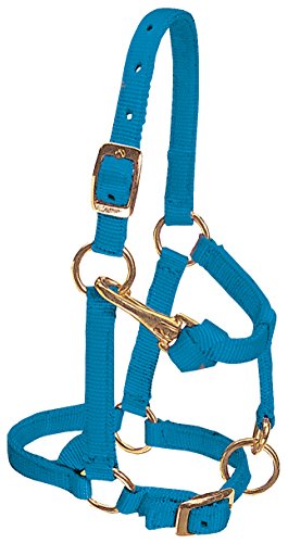 【中古】【未使用・未開封品】(Large Mini, Hurricane Blue) - Weaver Leather Nylon Miniature Horse Adjustable Halter