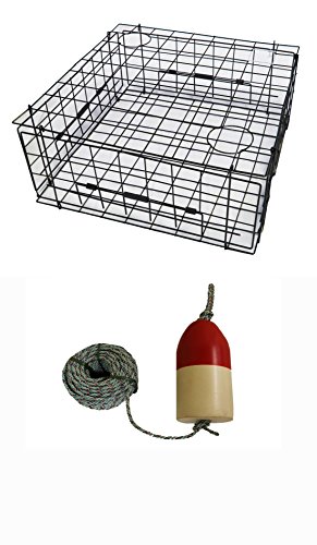 š̤ۡѡ̤ʡKUFA Sports 28 ӥˡ륳ƥ  ȥå 5/16 x 100ե ꡼ɥ & 5...