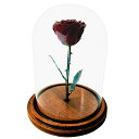 【中古】【未使用・未開封品】Forever Rose 魅惑的なバラ 本物の本物の 1 種類の本物のブルゴーニュローズ ラッカーに手作業で浸した銅の茎と葉 美女と野獣
