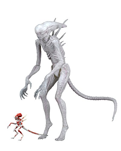š̤ۡѡ̤ʡNeca - Figurine Alien Covenant - Alien Neomorph 18cm - 0634482516591