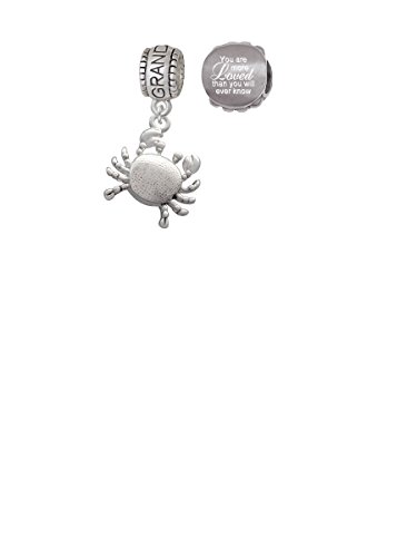 【中古】【未使用・未開封品】アンティーク風Crab家族チャームビーズwith You are more Lovedビーズ( Set of 2?)