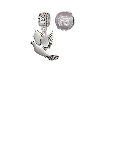 【中古】【未使用・未開封品】Dove家族チャームビーズwith You are more Lovedビーズ( Set of 2?)【メーカー名】【メーカー型番】【ブランド名】Delight Jewelry 服＆ファッション小物, チャーム ...