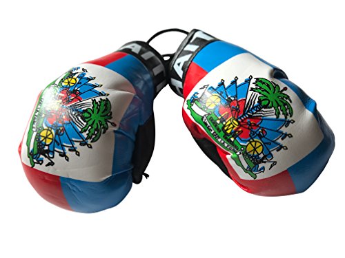Flag Mini Small Boxing Gloves 車のミラーに吊り下げ用 - アメリカ S