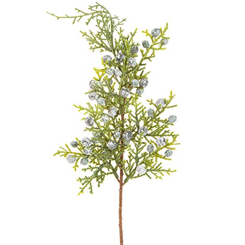 乐天商城 - 【中古】【未使用・未開封品】グリーンJuniper pick with Berries : 12インチ