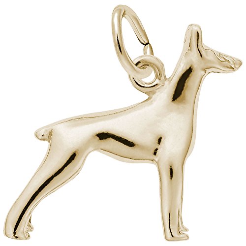 š̤ۡѡ̤ʡ10?KDoberman Dog㡼ࡢ㡼֥쥹åȤȥͥå쥹