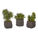【中古】【未使用・未開封品】Nearly Natural 1種多肉植物 トリオ 人工植物 (3個セット) グリーン 3個