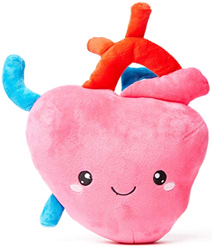 【中古】【未使用・未開封品】nerdbugs ハートぬいぐるみ - I Aorta to Tell You How Much I Love You!- 愛らしい、キュートで面白い心臓病のぬいぐるみ / 健康教育ギフト /