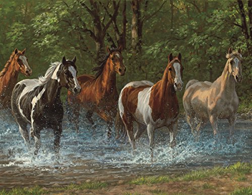 š̤ۡѡ̤ʡSpringbok Puzzles Summer Creek Jigsaw Puzzle (500 Piece)...