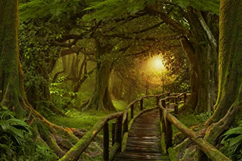 【中古】【未使用・未開封品】サンセットディープトロピカルジャングル 歩道橋 風景写真 クール 壁飾り..