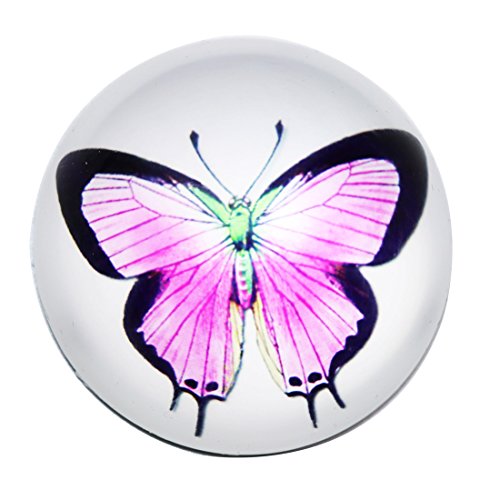 【中古】【未使用・未開封品】Waltz&F クリスタル 蝶 ペーパーウェイト ギャルス グローブ 半球 ホーム オフィス テーブル装飾 2.36インチ