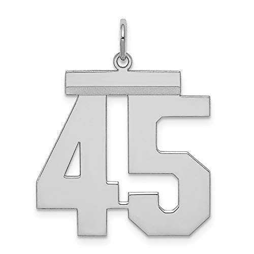 Necklaces, Pendants - 【中古】【未使用・未開封品】スターリングシルバー ロジウムメッキ ラージ 光沢 数字 45 チャーム