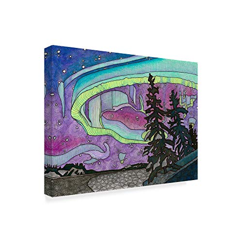 yÁzygpEJizTrademark Fine Art ALI37905-C1419GG The Northern Lights Background by Amy Frank 14C` x 19C` t@CA[g 14x19C` }`J