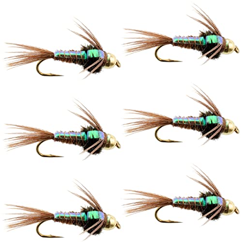 yÁzygpEJizThe Fly Fishing Place Bead Head Flash Back Pheasant Tail Nymph Fly Fishing Flies - Trout and Bass Wet Fly Pattern - 6 Flies Hook Size 1