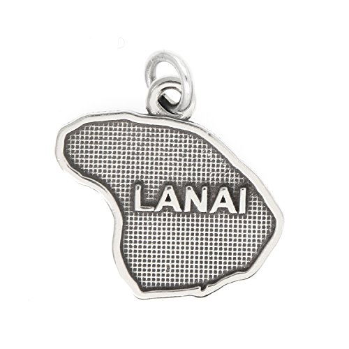 【中古】【未使用・未開封品】スターリングシルバーいぶし仕上げLanai島、ハワイチャーム???withオプション