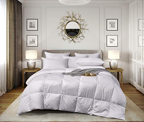 š̤ۡѡ̤ʡBlue Ridge Home Fashions ELLE Home 240åɥ 100%åȥ åɥС ۥ磻ȥեȥե/ 8888