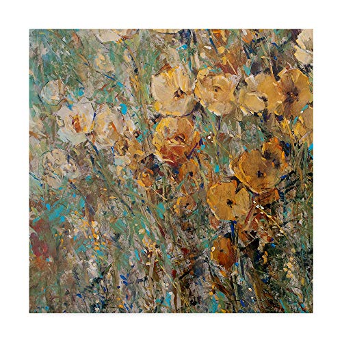 Tim Otoole トレードマークファインアートアンバーポピーフィールドI 35x35-Inch WAG02608-C3535GG