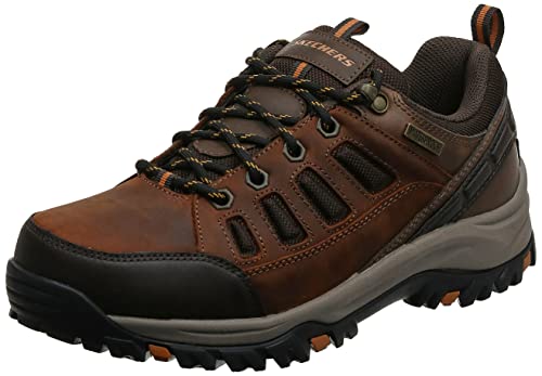 š̤ۡѡ̤ʡSkechers  66100 US : 16 M US 顼: ֥饦