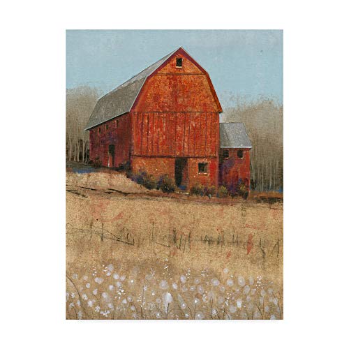 ����šۡ�̤���ѡ�̤�����ʡ�Trademark Fine Art Red Barn View I by Tim Otoole, 18x24