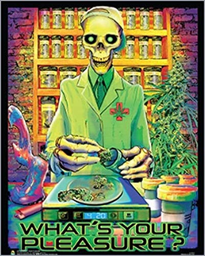 【中古】【未使用・未開封品】What Your Pleasure フロックレスブラックライトリアクティブポスター(16x20)