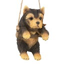 yÁzygpEJizDesign Toscano Yorkie Puppy on a p[` ݂艺  8C` tJ[