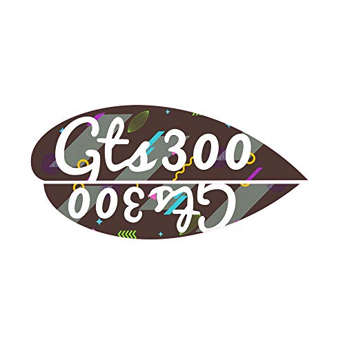 š̤ۡѡ̤ʡPRO-KODASKIN ȥХ ܥǥƥå ǥ ֥ GTS300 (BR)