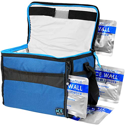 【中古】【未使用・未開封品】Arctic Zone Insulated Collapsible Travel Cooler Holds 12 Cans (4 Ice Packs Included) 141［並行輸入］ ajimura4861-11933499 AJIMURA-SHOP パッケージ画像