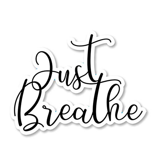 【中古】【未使用・未開封品】IT'S A SKIN Just Breathe ビニールステッカーデカール ノートパソコン ..