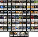 【中古】【未使用 未開封品】Yawgmoth, Thran Physician Commander Deck - EDH - モノブラック - カスタム - Magic The Gathering - MTG - 100カード