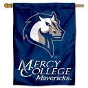 楽天AJIMURA-SHOP【中古】【未使用・未開封品】Mercy College Mavericks 両面ハウスフラッグ