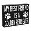 š̤ۡѡ̤ʡJennyGems ǥȥ꡼С ե ǥȥ꡼С My Best Friend Is a Golden Retriver 8x6  