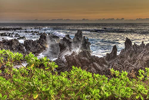 š̤ۡѡ̤ʡPosterazzi PDDUS12SWR0153LARGE Sunrise at Laupahoehoe Beach Park, Hamakua Coast, Big Island, Hawaii Photo Print, 24 x 36, Multi 141