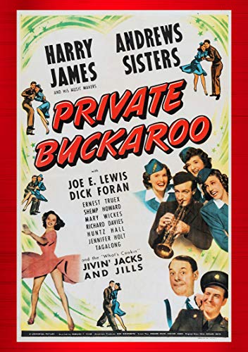 【中古】【未使用・未開封品】Private Buckaroo [DVD]