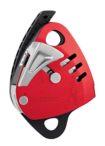š̤ۡѡ̤ʡMAESTRO? L
