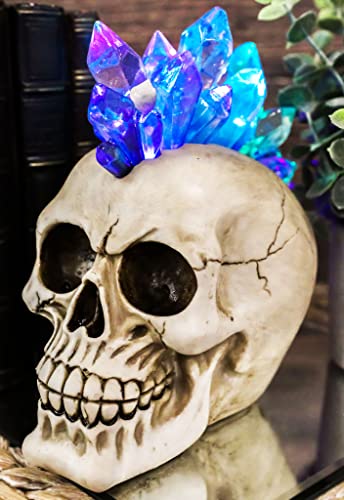 【中古】【未使用・未開封品】Ebros カラフルなLEDライト モホーク クリスタルヘア 頭蓋骨 スカルの置物 ハロウィーンの魔女の装飾 ナイトライト スカルスケルトンの収集品