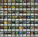 【中古】【未使用 未開封品】Black/Green Infect Commander Deck - Custom Built - Elite - MTG - EDH - 100 Card