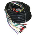 【中古】【未使用・未開封品】52フィート マルチアンプ アクセサリーケーブル 10 RCA