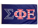 【中古】【未使用・未開封品】Desert Cactus Sigma Phi Epsilon USA Letter Fraternity Flag Greek Banner Large 3 feet x 5 feet Sign Decor SigEp (Flag - USA) [並行輸入品