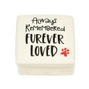 Enesco Our Name is Mud Always Remembered Furever Loved Pet Bereavement 装飾モメント記念品ボックス 3.125インチ ホワイト