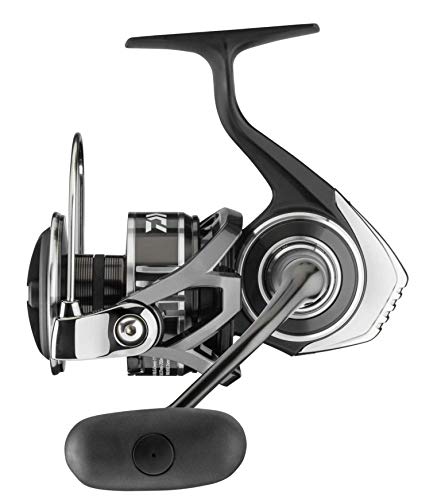 ����šۡ�̤���ѡ�̤�����ʡ�Daiwa BG MQ ���ԥ˥󥰥꡼�� �֥�å� 14000-H