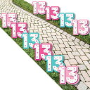 【中古】【未使用・未開封品】Big Dot of Happiness Girl 13歳の誕生日 - 13歳の芝生の装飾 - アウトドア ティーンエイジャー バースデーパーティー ヤードデコレーション - 1