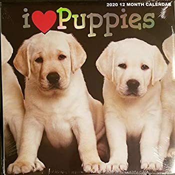 【中古】【輸入品・未使用】2020 壁掛けカレンダー - I Love Puppies - 12ヶ月 - 12x12インチ