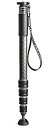 【中古】【未使用未開封】GITZO 一脚 カーボン 4型 5段 ロング Carbon eXactチューブ採用 GM4552L