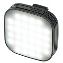 【中古】【未使用未開封】Kenko スマホ用LEDライト リアルプロクリップライト 自撮り用 フラッシュモード搭載 10段階光量調整 KRP-32L