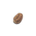 【中古】かもめタワシ(20ヶ入) 中/62-6607-30