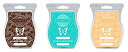 【中古】Scentsy Multi-pack - Mochadoodle By the Sea Camu Camu