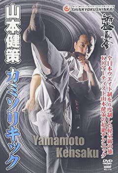 【中古】新極真会 山本健策 直伝!カミソリキック [DVD]