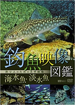 【中古】【未使用未開封】シンフォレストDVD 釣魚映像図鑑[海水魚・淡水魚]釣り人のための水中映像