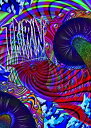 【中古】TRIPPIN' (DIRTY PIMP htsb0152) 【スノーボードDVD】