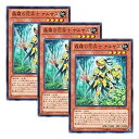 【中古】3枚 遊戯王 日本語版 LVAL-JP018 Sylvan Flowerknight 森羅の花卉士 ナルサス (ノーマル)
